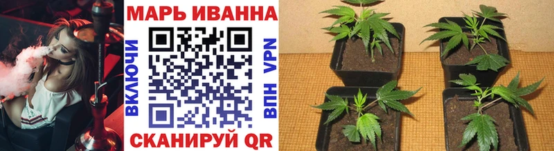 Наркошоп Муром АМФ  Псилоцибиновые грибы  Канабис  Гашиш 